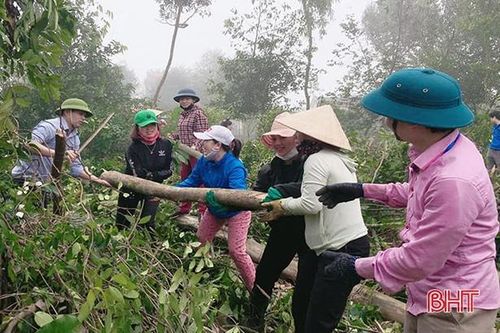 ... phát quang, phá bỏ vườn tạp.
