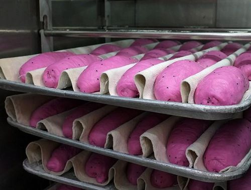  Công thức làm món bánh mì thanh long khá đơn giản. Sau quá trình nhào bột (nếu có máy nhồi bột, bạn chỉ cần cắt thanh long thành từng miếng nhỏ, nếu không, dùng máy xay nhuyễn thanh long), cần ủ bột bánh trong vòng 3 tiếng, nướng ở nhiệt độ 170-180 độ C trong vòng 17-20 phút tùy trọng lượng bánh 