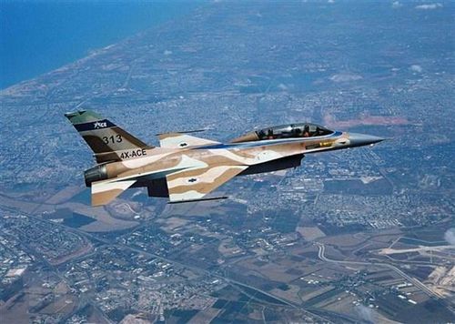 Hệ thống này có thể tự động giành quyền kiểm soát máy bay. (Nguồn: AFP/TTXVN)