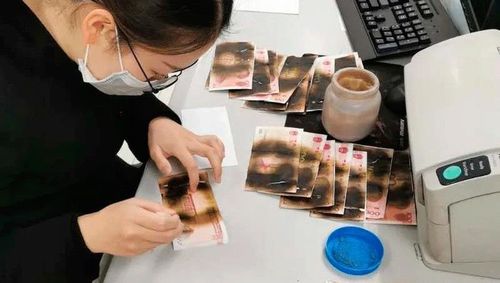 Khử trùng tiền trong... lò vi sóng vì sợ Covid-19 - Báo Pháp ...