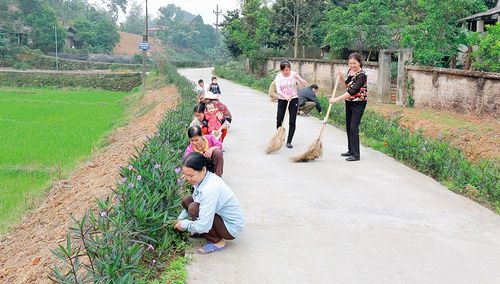 Phụ nữ khu 7, xã Tiêu Sơn (Đoan Hùng) chăm sóc, chỉnh trang đường làng, ngõ xóm thêm xanh, sạch, đẹp.