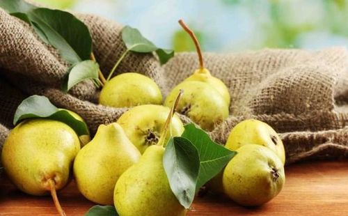 Sợi thô trong quả lê có thể làm tổn thương màng nhầy của dạ dày nếu bạn quả ăn này lúc vừa mới thức dậy. Ảnh minh họa: Internet