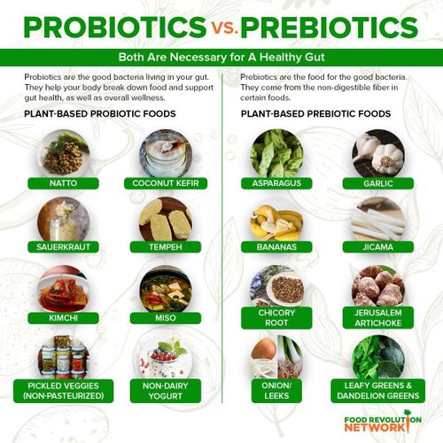 Các loại thực phẩm chứa nhiều probiotics, prebiotics. Ảnh: Food Revolution Network.