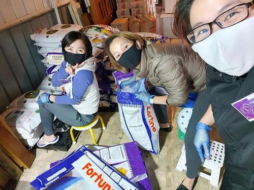  Từ ngày 26/3, các thành viên trong nhóm Mẹ Việt tại Úc đã khởi xướng chương trình quyên góp tặng gạo, mỳ và nhu yếu phẩm. Chị Vũ Thị Thanh Thúy (sống ở Melbourne, Australia) - một trong những người quản lý của trang - cho Zing biết ban đầu xuất phát từ việc trên nhóm có một số mẹ đăng bài nói về việc họ bị mất việc, không có thu nhập. Từ đó, chị Thúy cùng các thành viên đã kêu gọi mọi người cùng giúp đỡ đồng hương người Việt đang sinh sống tại Australia gặp khó khăn. Ảnh: Thanh Thúy. 
