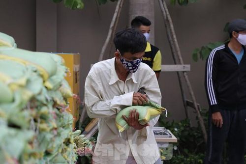 Những túi gạo trong thời điểm này rất đáng quý với người dân