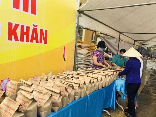 Các túi gạo được đóng thành từng túi 3kg để phát cho người dân