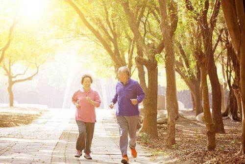 Người già nên tập dưỡng sinh, đi bộ khoảng 30 phút vào buổi sáng. Ảnh minh họa