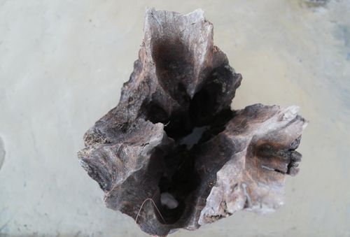 Bãi cọc Cao Quỳ, Liên Khê, Thủy Nguyên, Hải Phòng. Ảnh VGP/Quang Hiếu