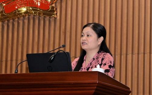  Bà Phạm Thị Thịnh, Phó Cục trưởng Cục Đăng ký đất đai, Bộ Tài nguyên và Môi trường truyền đạt nội dung tại hội nghị.