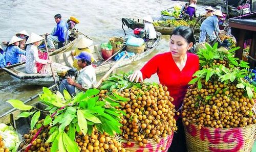 Rau quả là mặt hàng có lợi thế khi EVFTA có hiệu lực,nhưng để biến lợi thế thành thực tế cần phải phát huy nhiều nỗ lực.