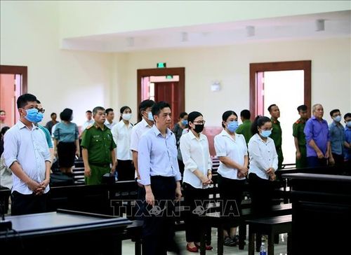 7 bị cáo nghe tuyên đọc bản án. Ảnh: TTXVN