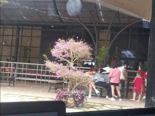 Cặp đôi đầy ngọt ngào nhưng vẫn không chịu công khai.
