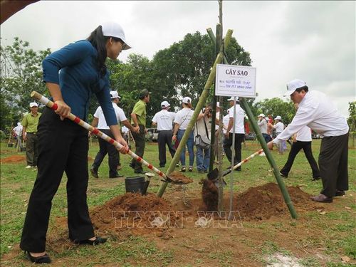 Các đại biểu trồng cây tại buổi lễ.