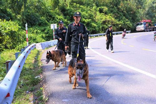 Lực lượng chức năng triển khai tìm kiếm phạm nhân Triệu Quân Sự đang lẫn trốn ở rừng Hải Vân.