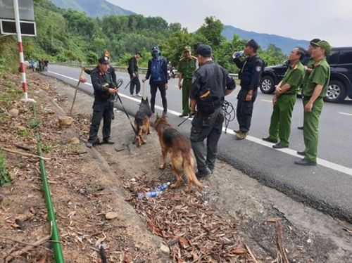 Chó nghiệp vụ được huy động để truy bắt Triệu Quân Sự