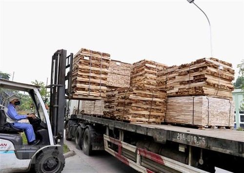 Vận chuyển sản phẩm gỗ nguyên liệu phục vụ sản xuất để xuất khẩu. (Ảnh: Vũ Sinh/TTXVN)