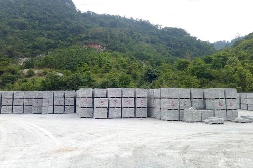 Gạch không nung tồn 3 triệu viên tại nhà máy gạch Tam Đình, Tương Dương. Ảnh: Văn Trường