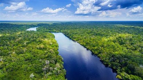Sông Amazon ở Brazil. Ảnh: E+.