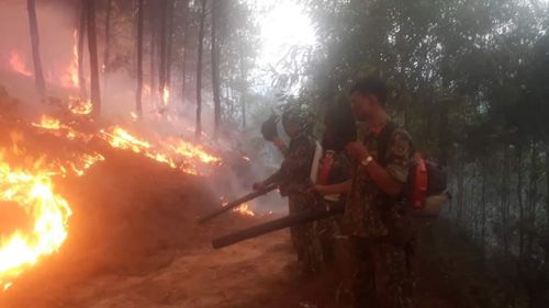 Dùng máy thổi và tiến hành thiết lập đường băng cản lửa.