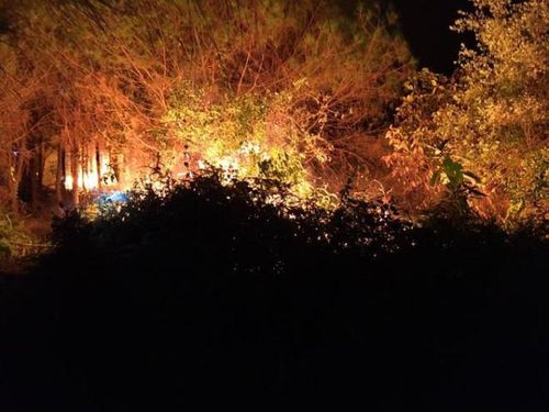 Nắng nóng kéo dài, rừng ở Hà Tĩnh cháy lớn