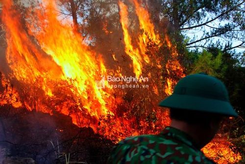 Với sức gió thổi mạnh, đám cháy bùng phát càng dữ dội. Ảnh: Quang An