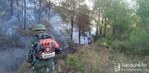 Đồn Biên phòng Diễn Thành đã cử 22 cán bộ, chiến sĩ đến hiện trường phối hợp với các lực lượng, chính quyền địa phương và người dân để dập lửa. Trong ảnh: Các lực lượng làm đường băng ngăn lửa lây lan. Ảnh: CTV