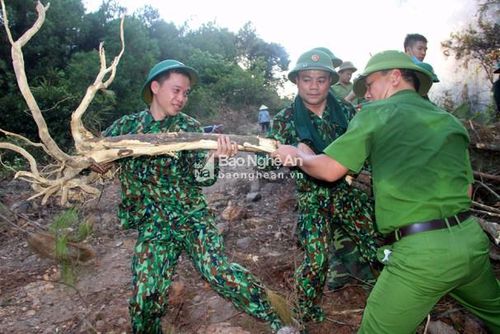 Bên cạnh khẩn trương dập đám cháy, các chiến sỹ tập trung làm đường băng cản lửa để lửa rừng không lây lan diện rộng. Ảnh: Quang An