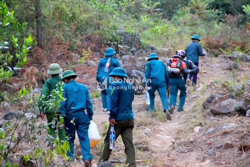 Đám cháy tập trung chủ yếu trên đỉnh núi, con đường để lên dập lửa dốc đứng, gập ghềnh khiến các lực lượng phải di chuyển khó khăn. Ảnh: Văn Trường