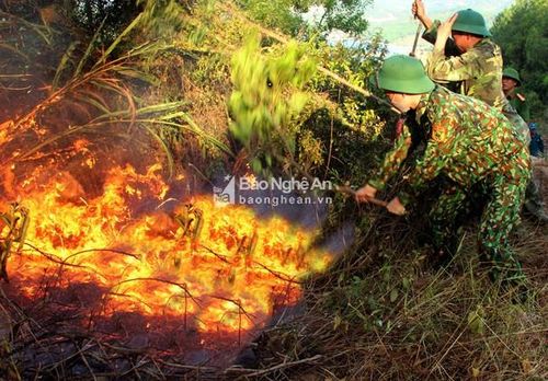Các lực lượng nỗ lực dập lửa trong nắng nóng dù trước đó 2 ngày cũng đã phải căng mình dập lửa rừng. Ảnh: Văn Trường