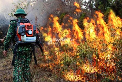 Ông Tăng Văn Luyện - Chủ tịch UBND huyện Diễn Châu cho biết: ngay khi nhận được thông tin, huyện đã huy động toàn bộ lực lượng gồm công an, dân quân tự vệ, Đồn Biên phòng Diễn Thành cùng với khoảng 1000 người dân của 20 xã cùng đến xã Diễn Phú để tiếp sức cứu rừng. Ảnh: Quang An