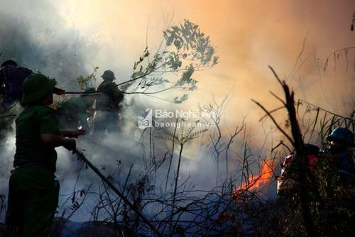 Lực lượng chữa cháy không quản hiểm nguy vẫn lao vào dập lửa. Ảnh: Quang An
