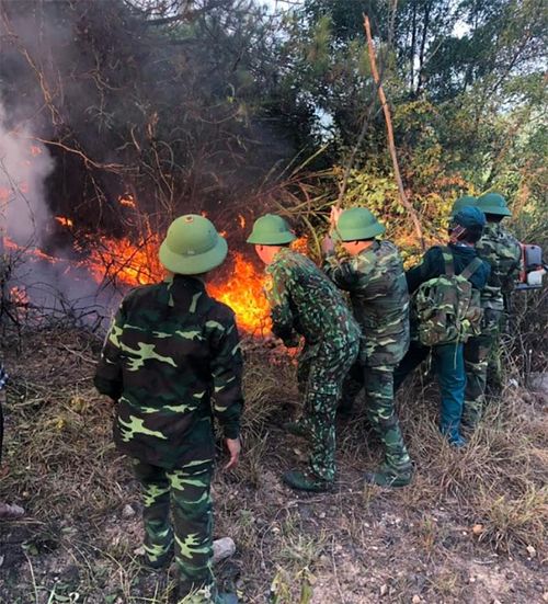  Cán bộ, chiến sĩ LLVT huyện Diễn Châu xuyên đêm dập lửa cứu rừng. 