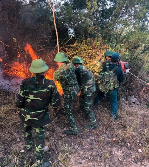 Ngoài các lực lượng khác, Đồn Biên phòng Diễn Thành - BĐBP tỉnh Nghệ An đã huy động quân số đến hiện trường. Trung tá Đậu Đình Thành - Phó Tham mưu trưởng, BĐBP tỉnh Nghệ An trực tiếp chỉ đạo.