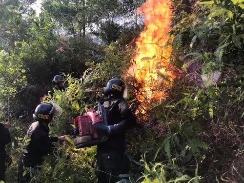 Lực lượng được chia từng tốp, dập lửa tại chỗ.