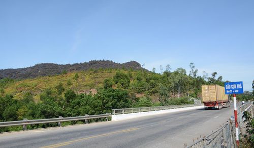 Núi Mồng Gà sau vụ cháy.