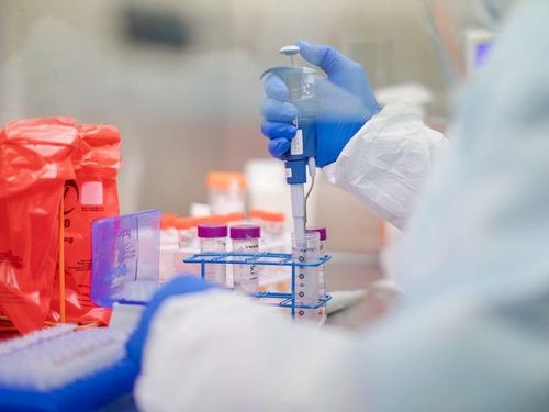 Kết quả xét nghiệm virus corona trở thành số liệu để xác định thời điểm an toàn. Ảnh: Bloomberg.