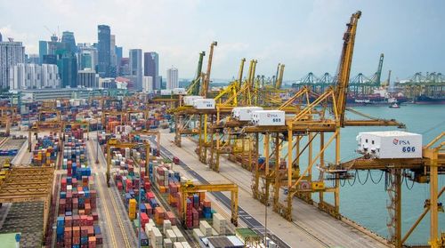 Sáng kiến thương mại của Singapore và New Zealand nhằm đảm bảo duy trì hoạt động ngoại thương và các chuỗi cung ứng trên toàn cầu trong bối cảnh đại dịch Covid-19 diễn biến phức tạp (Ảnh: 123RF)