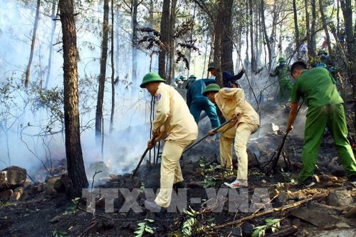 Các lực lượng chức năng nỗ lực dập lửa tại xã Diễn Lợi, huyện Diễn Châu (Nghệ An) ngày 28/6/2020. Ảnh: Tá Chuyên – TTXVN