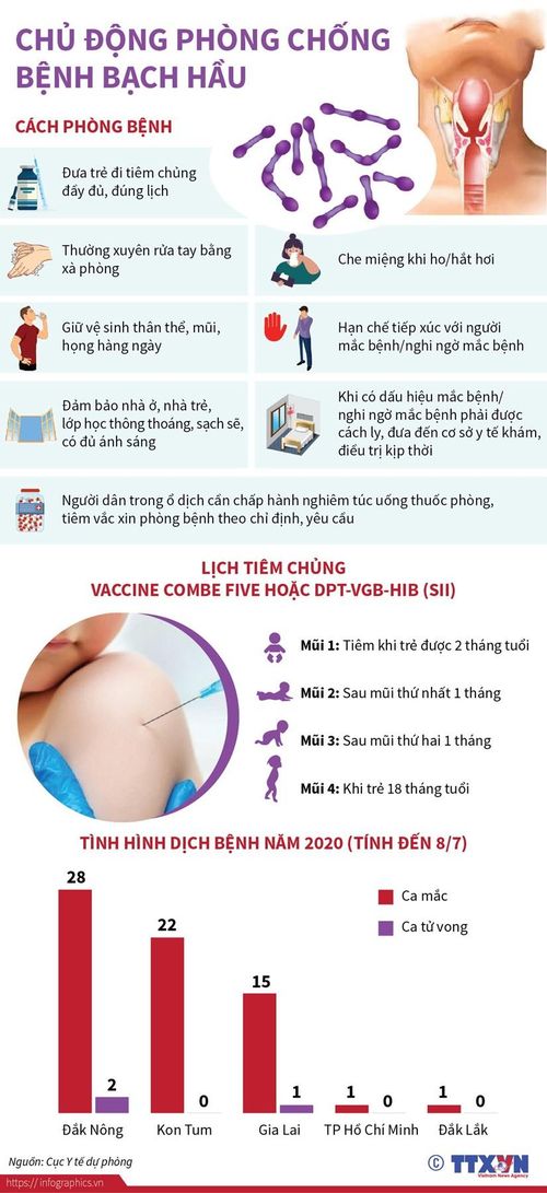 (Nhấp chuột để xem kích thước chuẩn)