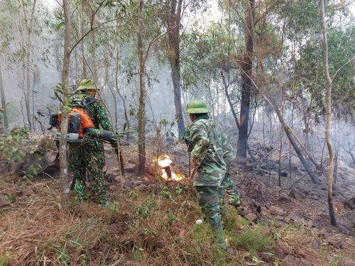 Đang xảy ra cháy rừng thông, keo tại xã Diễn Lộc, huyện Diễn Châu.