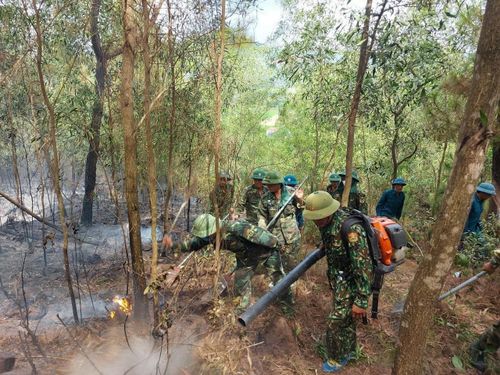 Để khống chế vụ cháy, huyện Diễn Châu đã huy động lực lượng của 5 xã với hàng trăm người dập lửa cứu rừng.