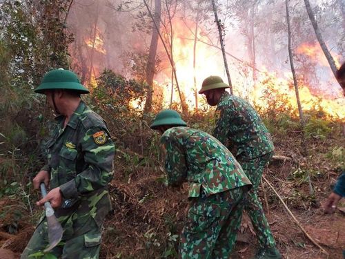 Cán bộ, chiến sĩ Đồn Biên phòng Diễn Thành nỗ lực dập lửa. Ảnh: Lê Thạch