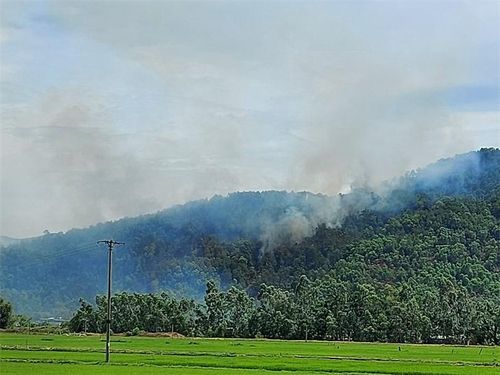 Khu rừng bị cháy nhìn từ xa. Ảnh: Hải Thượng