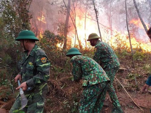 Hàng nghìn người căng mình dập lửa.