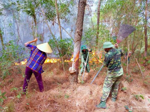 Khu vực cháy có lớp thực bì thông dày, lâu năm chưa được thu dọn, do đó tốc độ lây lan của đám cháy rất nhanh. Người dân và lực lượng vừa dập lửa vừa cào thực bì để khống chế đám cháy. Ảnh: Quang An