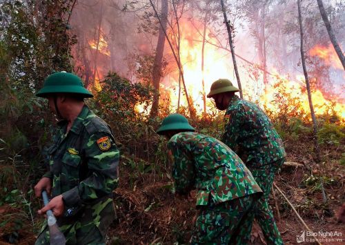 Hàng nghìn người bao gồm lực lượng Quân đội, Công an, Biên phòng, Kiểm lâm cùng với chính quyền huyện Diễn Châu và người dân địa phương căng mình dập tắt đám cháy. Ảnh: Quang An
