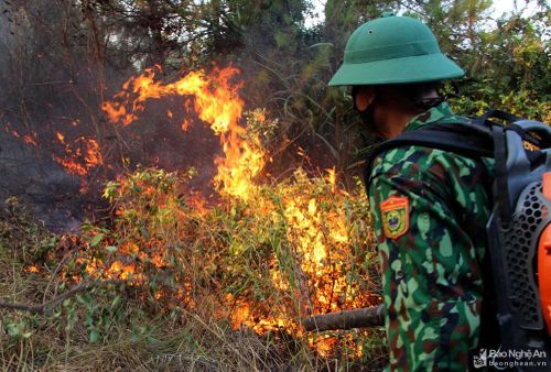 Các máy thổi được huy động hết công suất để dập lửa. Ảnh: Quang An