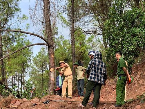 Các lực lượng đang chặt cây, làm đường băng cản lửa.