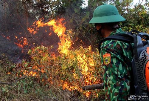 Các máy thổi được huy động hết công suất để dập lửa. Ảnh: Báo Nghệ An