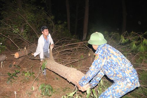  Khoảng 21h30p cùng ngày, lực lượng bộ đội, người dân vẫn tiếp tục tạo đường băng ngăn lửa.